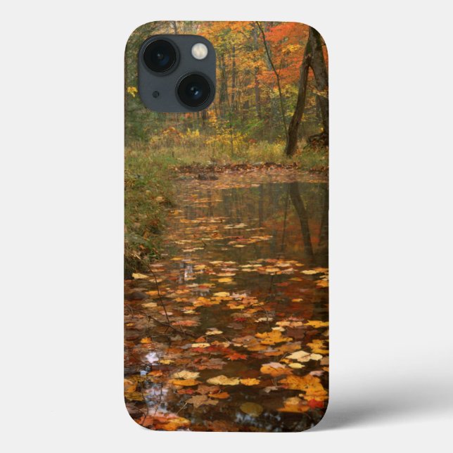 Coques Case-Mate iPhone États-Unis, Virginie, Automne Dans Le Douthat Stat (Verso)