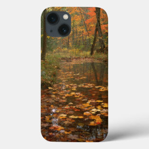 Etui iPhone Case-Mate États-Unis, Virginie, Automne Dans Le Douthat Stat