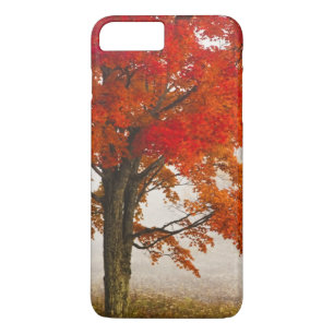 Coque iPhone 7 Plus États-Unis, Virginie-Occidentale, Davis. Érable ro