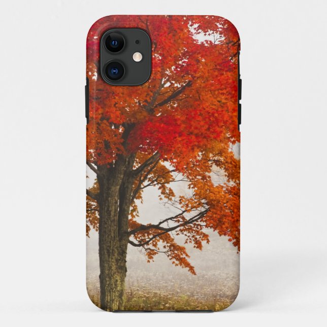 Coques Case-Mate iPhone États-Unis, Virginie-Occidentale, Davis. Érable ro (Dos)