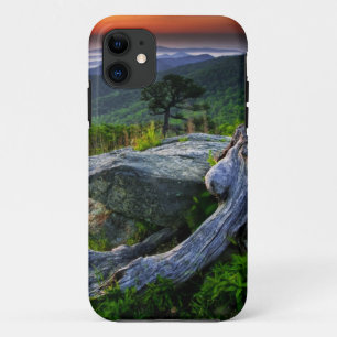 Coque iPhone 11 États-Unis, Virginie, Parc national de Shenandoah.