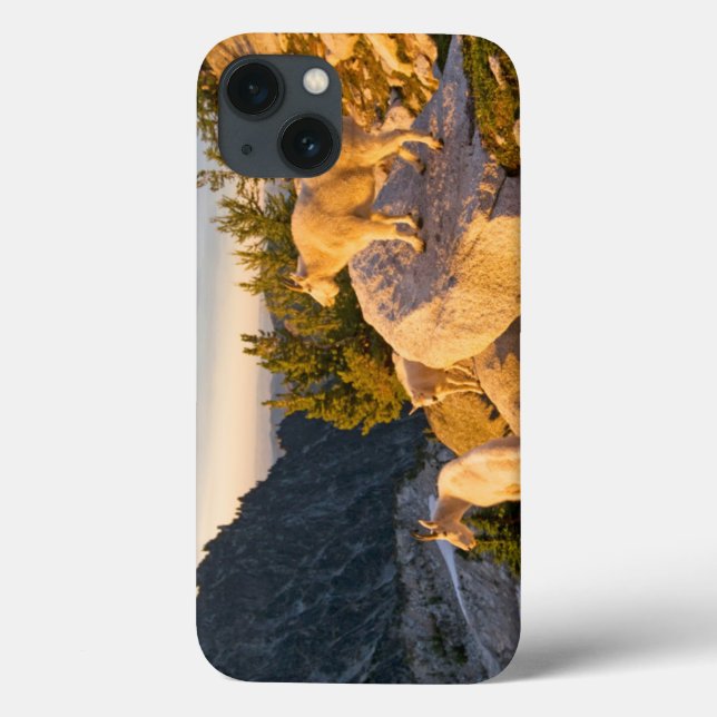 Coques Case-Mate iPhone États-Unis, Washington, chaîne des Cascades 4 (Verso)