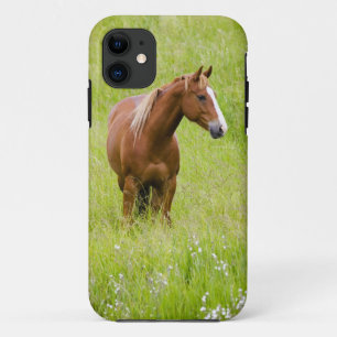 Etui iPhone Case-Mate États-Unis, Washington, Cheval dans un champ print