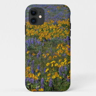 Etui iPhone Case-Mate États-Unis, Washington, Columbia River Gorge Natio