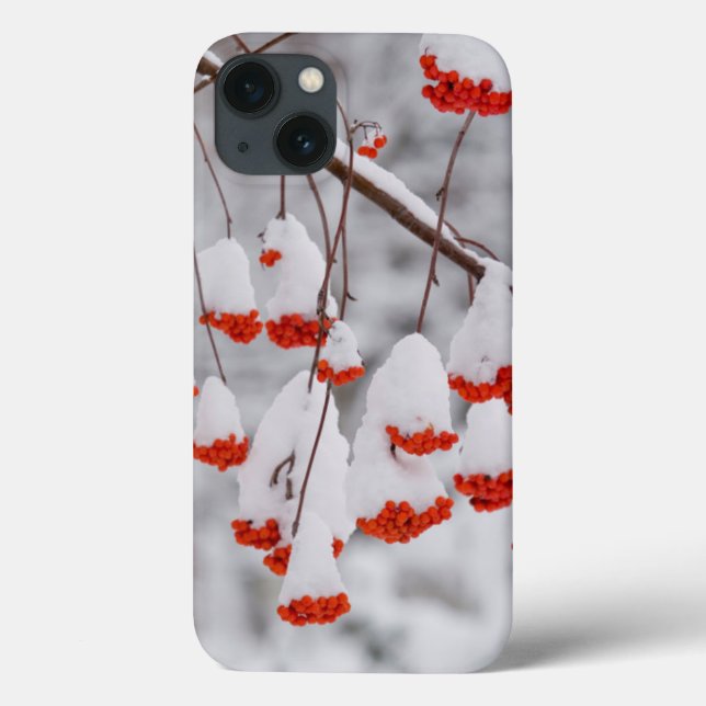 Coques Case-Mate iPhone États-Unis, Washington, comté de Spokane (Verso)