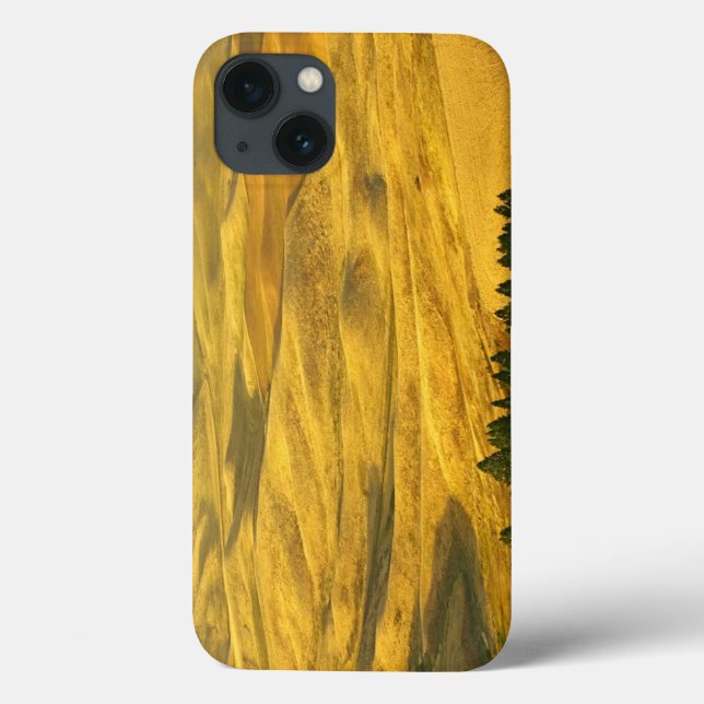 Coques Case-Mate iPhone États-Unis, Washington, comté de Whitman, Palouse, (Verso)