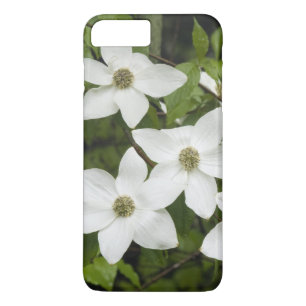 Coque Case-Mate iPhone États-Unis, Washington, Cornouiller du Pacifique,