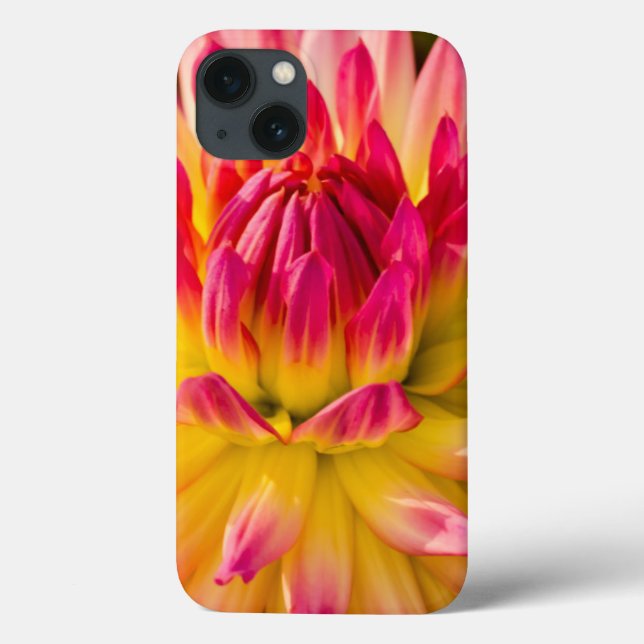Coques Case-Mate iPhone États-Unis, Washington. Détail De La Fleur Dahlia (Verso)