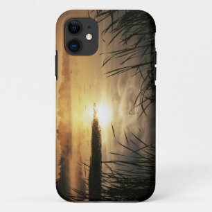 Coque iPhone 11 États-Unis, Washington, Lopez Island, Brouillard m