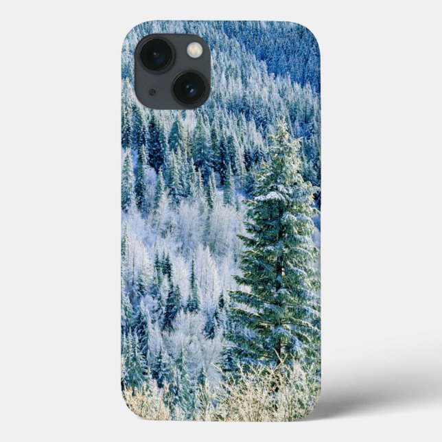 Coques Case-Mate iPhone États-Unis, Washington, Mt. Spokane State Park, As (Verso)