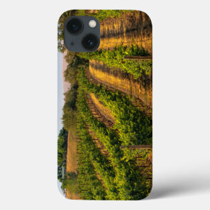iPhone 13 Coque États-Unis, Washington oriental, Vignobles de Wall