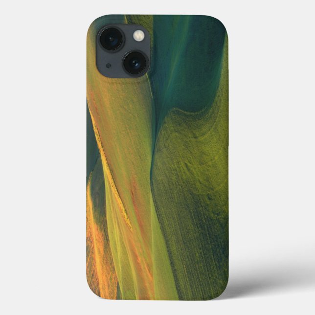 Coques Case-Mate iPhone États-Unis, Washington, Palouse, comté de Whitman (Verso)