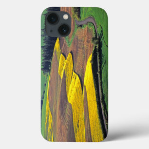 Etui iPhone Case-Mate États-Unis, Washington, Palouse, comté de Whitman
