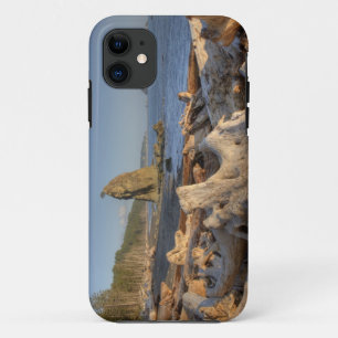 Coque Case-Mate Pour iPhone États-Unis, Washington, Parc National Olympique, R