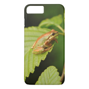 Coque iPhone 8 Plus/7 Plus États-Unis, Washington, Seattle, Discovery Park