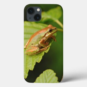 iPhone 13 Case États-Unis, Washington, Seattle, Discovery Park