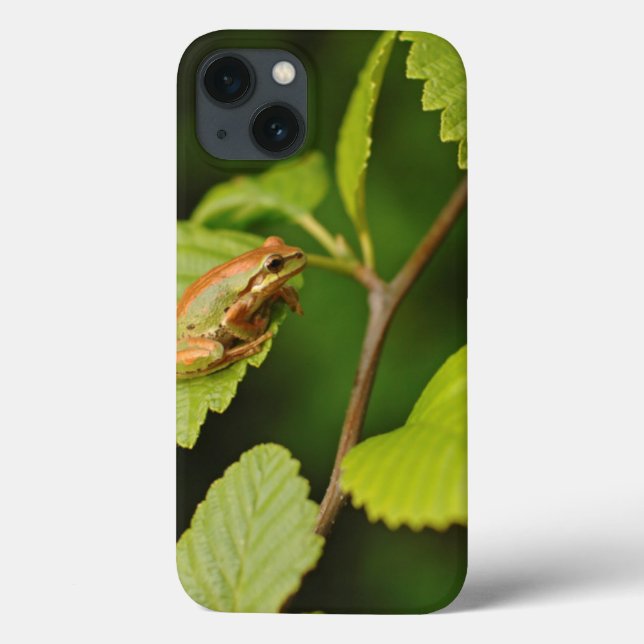 Coques Case-Mate iPhone États-Unis, Washington, Seattle, Discovery Park (Verso)