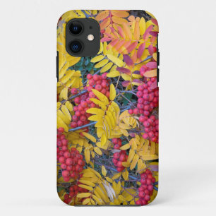 Etui iPhone Case-Mate États-Unis, Washington, Sorbus de l'Ouest, Okanoga