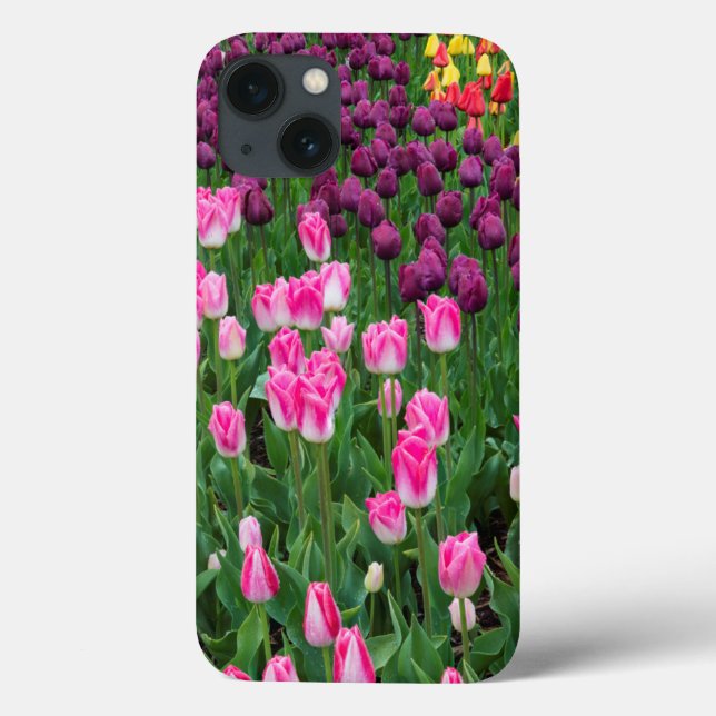 Coques Case-Mate iPhone États-Unis, Washington. Tulipes en fleurs (Verso)