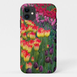 Coque Case-Mate iPhone États-Unis, Washington. Tulipes en fleurs 2