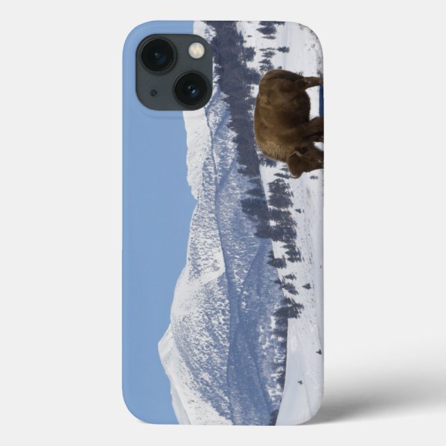 Coques Case-Mate iPhone États-Unis, WY, Parc national de Yellowstone, Biso (Verso)