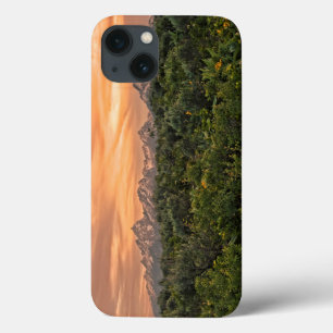iPhone 13 Case États-Unis, Wyoming, Grand Teton National Park 1