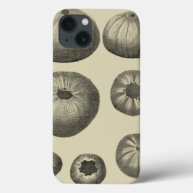 Coques Case-Mate iPhone Étoiles de mer noires et blanches (Verso)