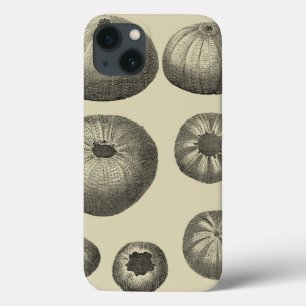 Etui iPhone Case-Mate Étoiles de mer noires et blanches