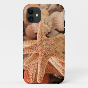 Etui iPhone Case-Mate Étoiles de mer séchées vendues comme souvenirs