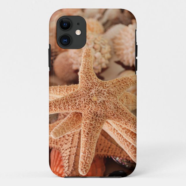 Coques Case-Mate iPhone Étoiles de mer séchées vendues comme souvenirs (Dos)