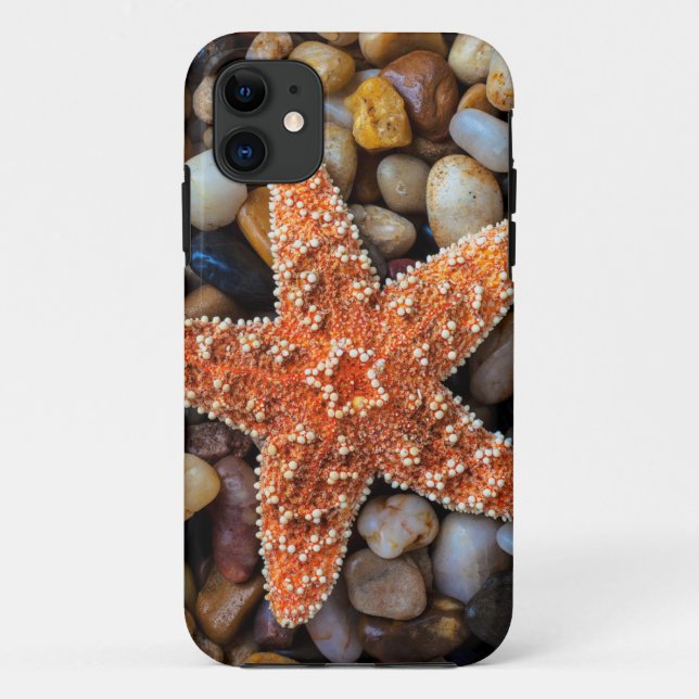 Coques Case-Mate iPhone Étoiles de mer sur des roches (Dos)