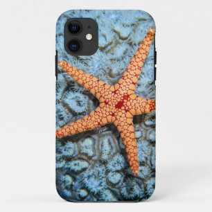Coque Case-Mate Pour iPhone Étoiles de mer sur un corail avec Polips