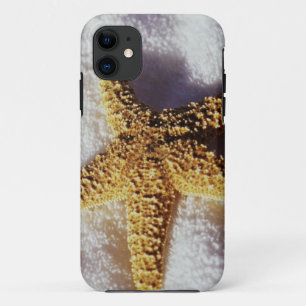 Coque iPhone 11 Étoiles de mer sur une serviette