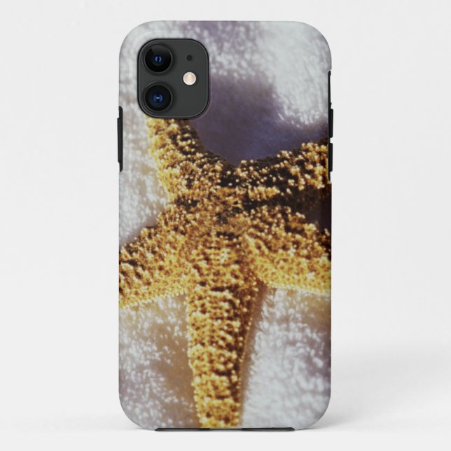 Coques Case-Mate iPhone Étoiles de mer sur une serviette (Dos)