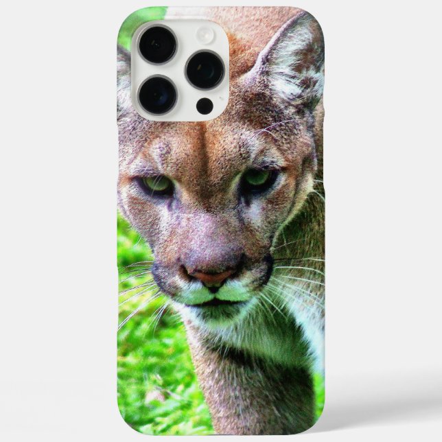 Coques Case-Mate iPhone ÉTUUI POUR iPHONE 16 PANTHÈRE (Verso)