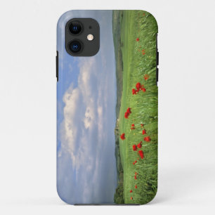 Case-Mate iPhone Case Europe, Toscane, Poggiolo. Les coquelicots rouges 