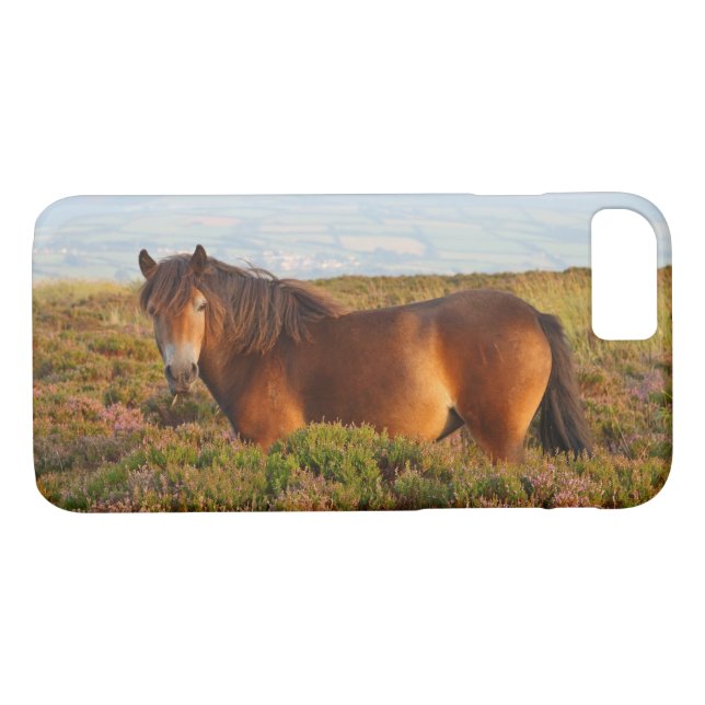 Coques Case-Mate iPhone Exmoor pony, cheval, Somerset, Angleterre (Dos (Horizontal))