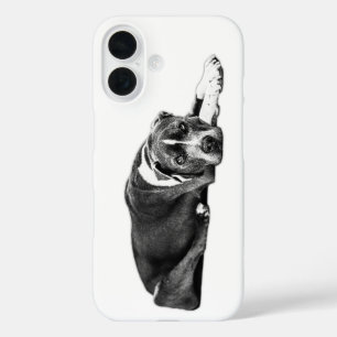Coque Pour iPhone 16 Eyes Fidèle Pitbull Mix Portrait Téléphone Case