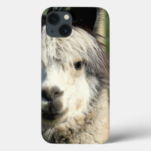 Etui iPhone Case-Mate Face de lama