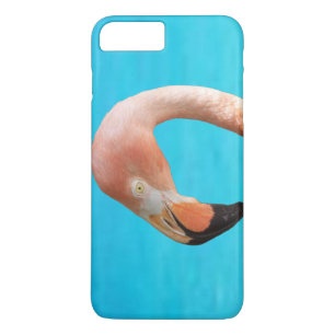 Case-Mate iPhone Case Face flamingo rose contre eau bleue sur