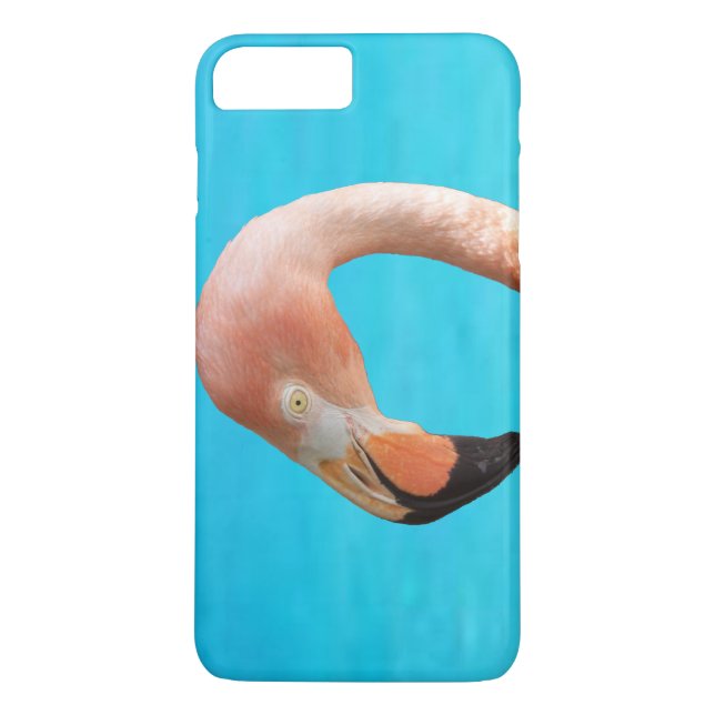 Coques Case-Mate iPhone Face flamingo rose contre eau bleue sur (Dos)