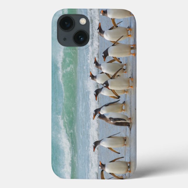 Coques Case-Mate iPhone Falkland Islands. Saunders Island. Gentoo (Verso)