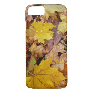 Coque iPhone 7 Fallen Maple Feuille Jaune Automne Nature