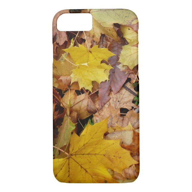 Coques Case-Mate iPhone Fallen Maple Feuille Jaune Automne Nature (Dos)