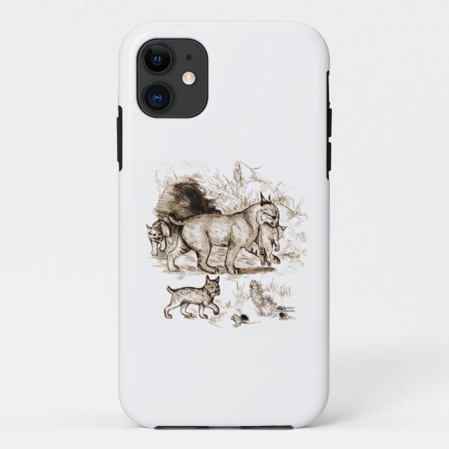 Coques Case-Mate iPhone Famille de Lynx roux (Dos)