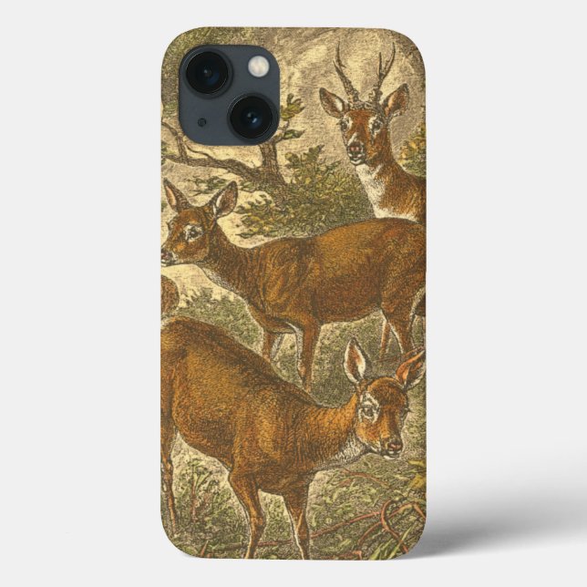 Coques Case-Mate iPhone Famille de Roe - Cerfs dans une forêt (Verso)