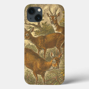 Etui iPhone Case-Mate Famille de Roe - Cerfs dans une forêt