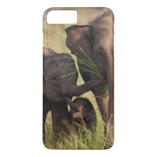 Coque iPhone 7 Plus Famille d'éléphants d'Asie indiens dans la savane