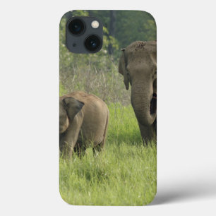 iPhone 13 Coque Famille d'éléphants indiens