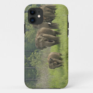 Coques Pour iPhone Famille des éléphants indiens